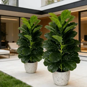 2 Pack - 3ft Artificial Fiddle Leaf Fig Tree